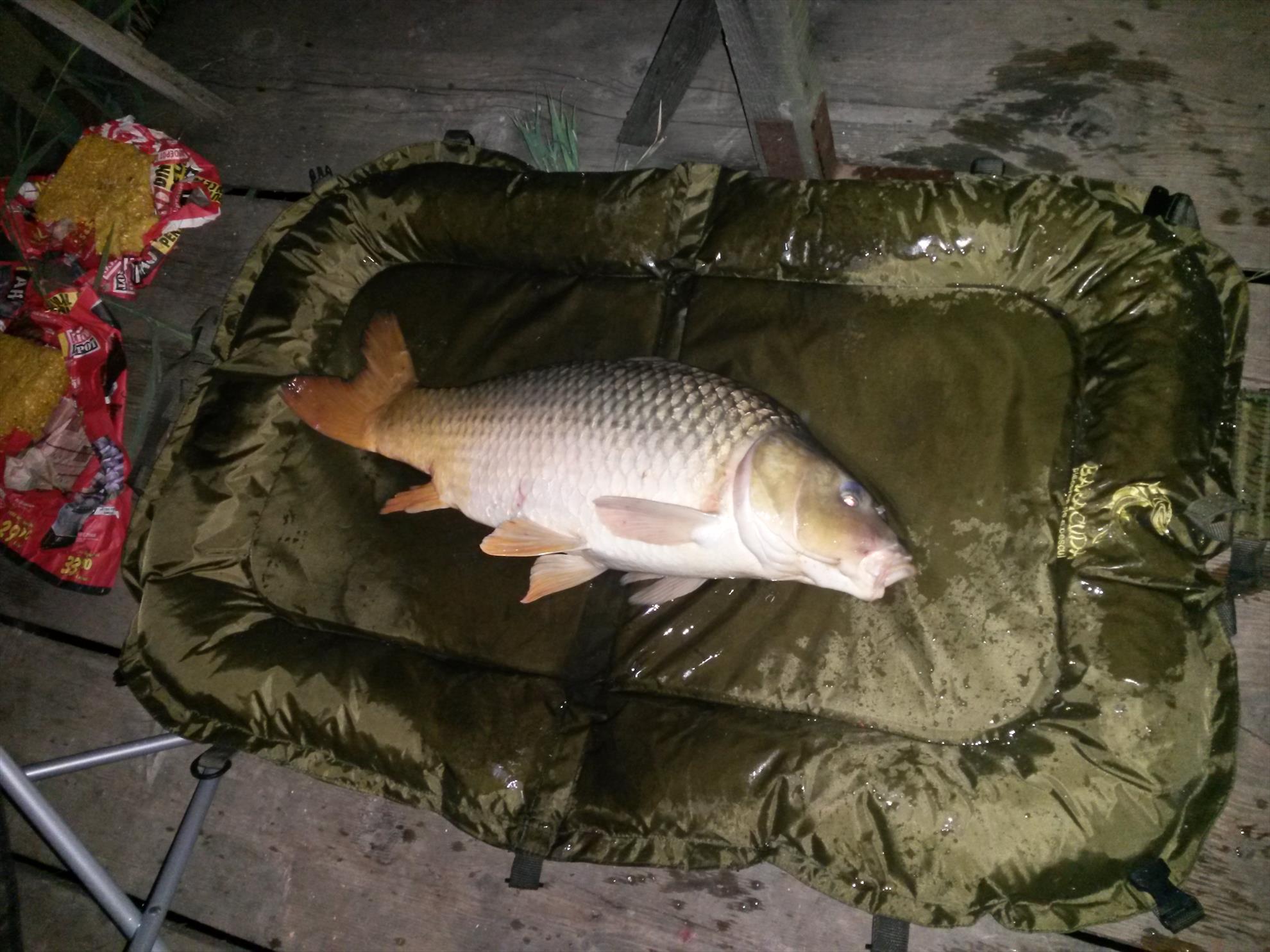 Magura 9 5 - 6 sep. - 20140906054115.jpg